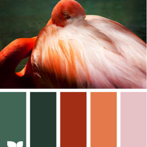 Orange Kitchen Colour Scheme