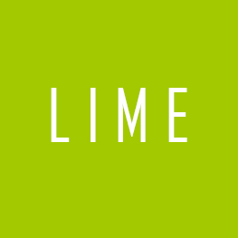 lime Green Kitchen Accessories